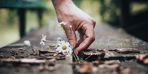 Dove è possibile spargere le ceneri